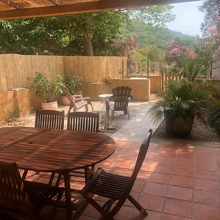 Domaine Des Oliviers - Les Borrels