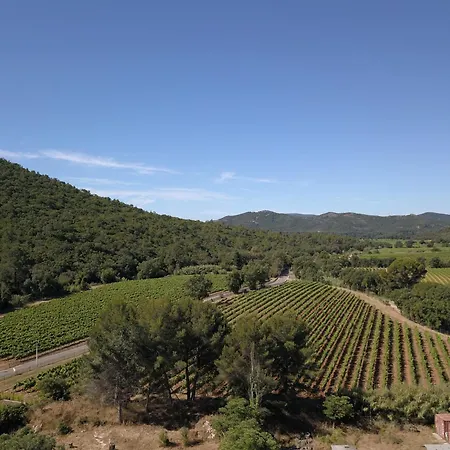 Feriehus Domaine Des Oliviers - Les Borrels Hyères