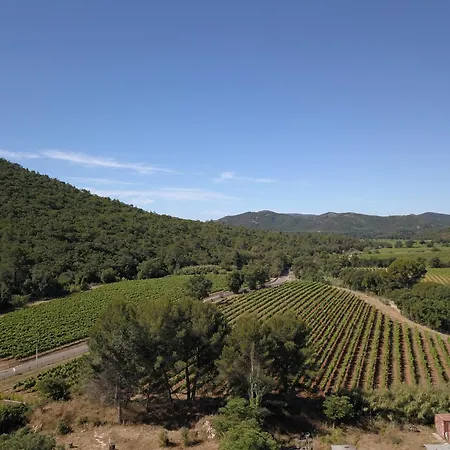 Domaine Des Oliviers - Les Borrels Prázdninový dům *